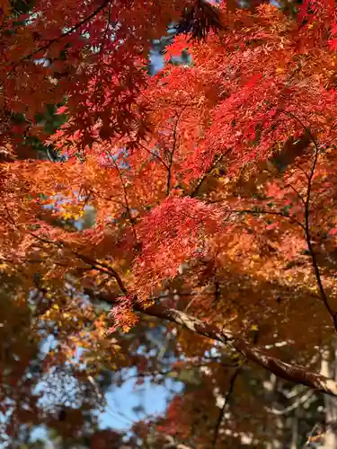 寿福寺(神奈川県)