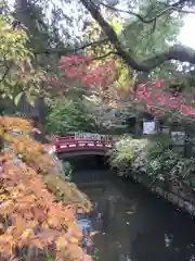 鶴岡八幡宮の自然