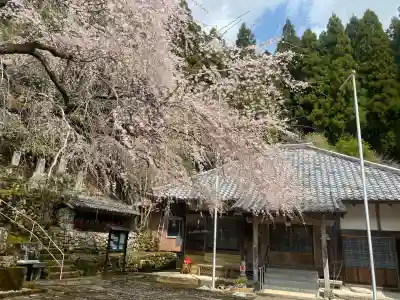 瑞岩寺の{uncategorized: "未分類", other: "その他", undefined: "問題あり", building: "その他建物", grave: "お墓", sacred_gate: "鳥居", guardian: "狛犬", statue: "像", buddha: "仏像", history: "歴史", nature: "自然", garden: "庭園", animal: "動物", pagoda: "塔", temizu: "手水舎", mountain_gate: "山門・神門", sanctuary: "本殿・本堂", subordinate: "末社・摂社", art: "芸術", scenery: "景色", jizo: "地蔵", ema: "絵馬", goshuin: "御朱印", omikuji: "おみくじ", items: "授与品その他", amulet: "お守り", goshuincho: "御朱印帳", eats: "食事", festival: "お祭り", votive_dance: "神楽", shichigosan: "七五三参", wedding: "結婚式", experience: "体験その他", initially: "初詣", around: "周辺", anti_infection: "感染症対策"}