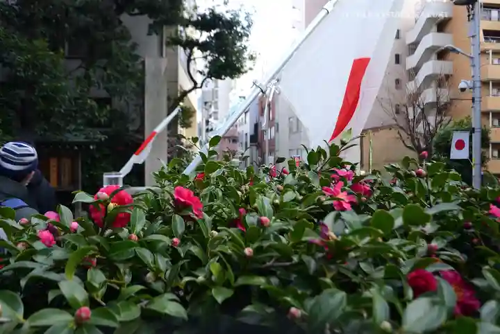 東京大神宮(東京都)