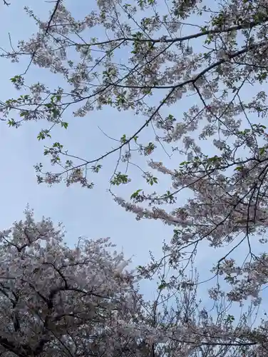 鶴岡八幡宮の自然