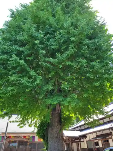 弘誓寺(兵庫県)