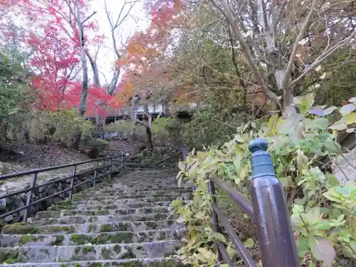 長谷寺の景色