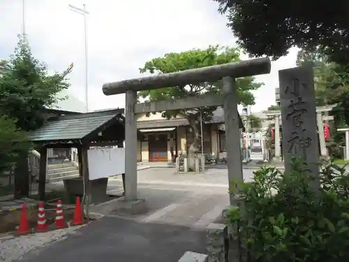 小菅神社の鳥居