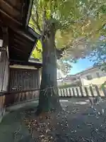 八幡神社(福井県)