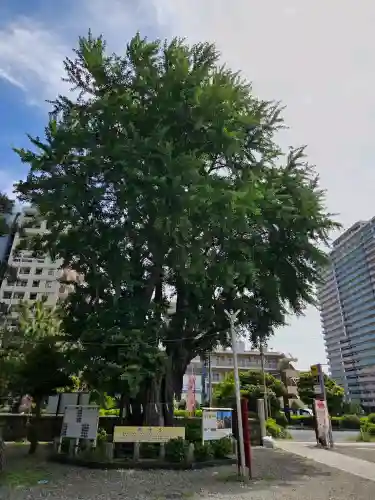 磐井神社の{uncategorized: "未分類", other: "その他", undefined: "問題あり", building: "その他建物", grave: "お墓", sacred_gate: "鳥居", guardian: "狛犬", statue: "像", buddha: "仏像", history: "歴史", nature: "自然", garden: "庭園", animal: "動物", pagoda: "塔", temizu: "手水舎", mountain_gate: "山門・神門", sanctuary: "本殿・本堂", subordinate: "末社・摂社", art: "芸術", scenery: "景色", jizo: "地蔵", ema: "絵馬", goshuin: "御朱印", omikuji: "おみくじ", items: "授与品その他", amulet: "お守り", goshuincho: "御朱印帳", eats: "食事", festival: "お祭り", votive_dance: "神楽", shichigosan: "七五三参", wedding: "結婚式", experience: "体験その他", initially: "初詣", around: "周辺", anti_infection: "感染症対策"}