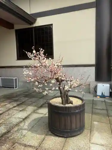 岩津天満宮の自然