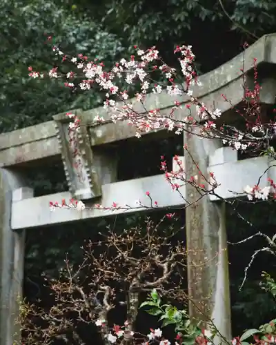大聖寺（土浦大師不動尊）(茨城県)