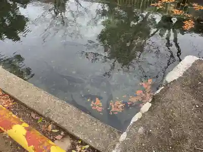 蟻通神社(大阪府)