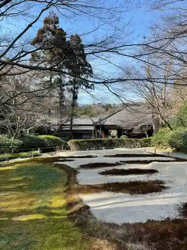 明月院の庭園