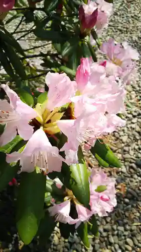 栃木縣護國神社の自然