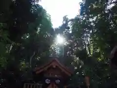 八重垣神社の自然