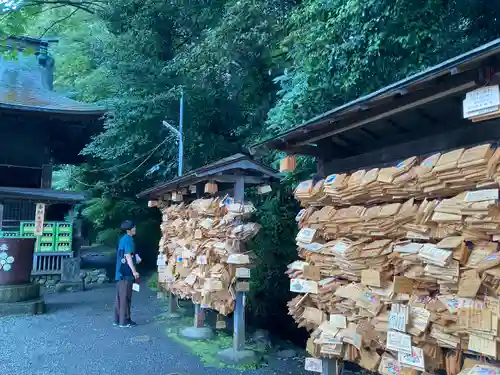 谷保天満宮(東京都)