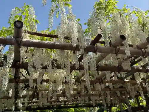 観音山慈眼院（高崎観音）(群馬県)