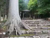 常照皇寺(京都府)