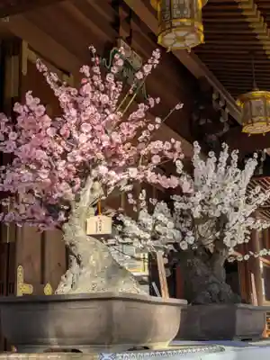 湯島天満宮(東京都)