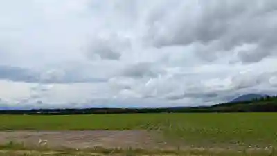 第八部落稲荷神社の景色