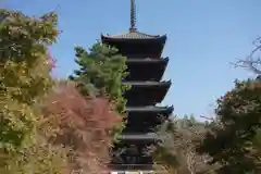 仁和寺(京都府)