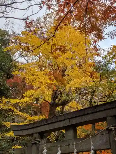 赤坂氷川神社(東京都)