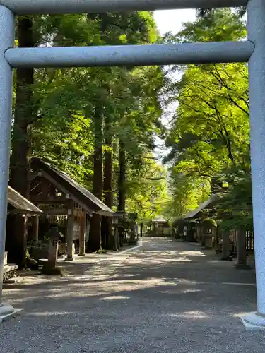 天岩戸神社(宮崎県)