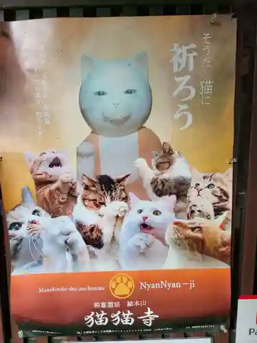 猫猫寺(京都府)