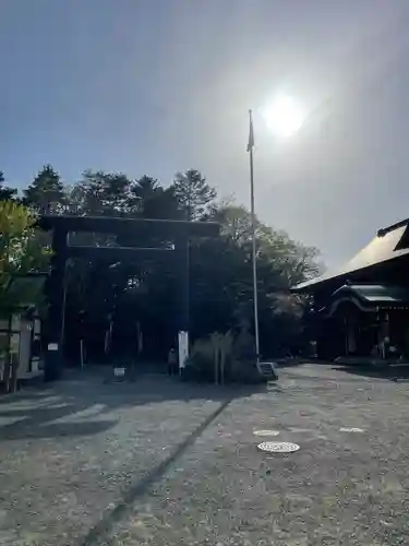 千歳神社の鳥居