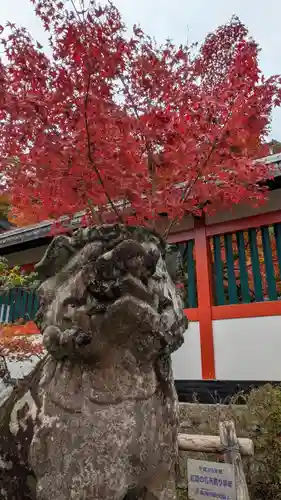 鍬山神社(京都府)