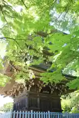 道場寺の建物その他