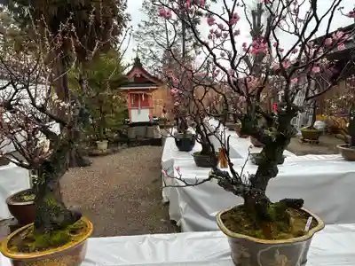 菅原天満宮(菅原神社)の芸術
