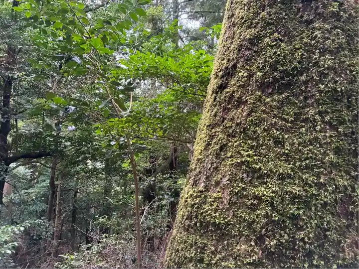 鞍馬寺奥の院 魔王殿(京都府)