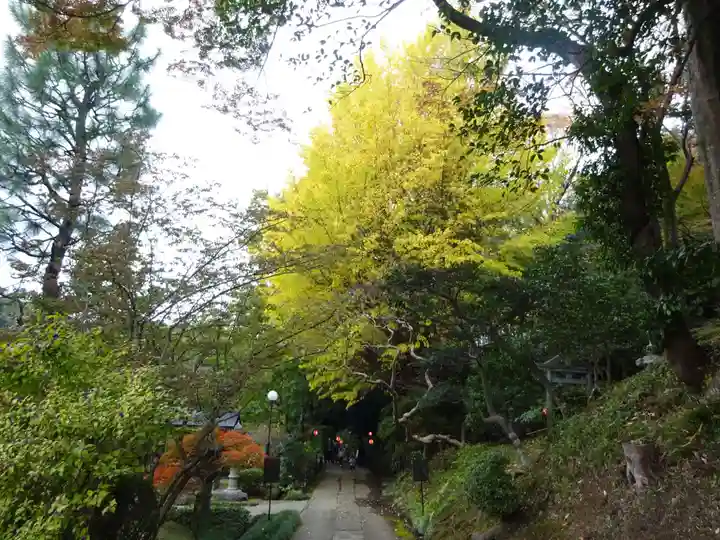 天台宗 長窪山 正覚寺の自然
