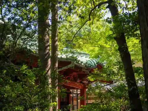 赤坂氷川神社(東京都)