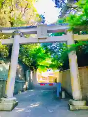 猿田神社の鳥居