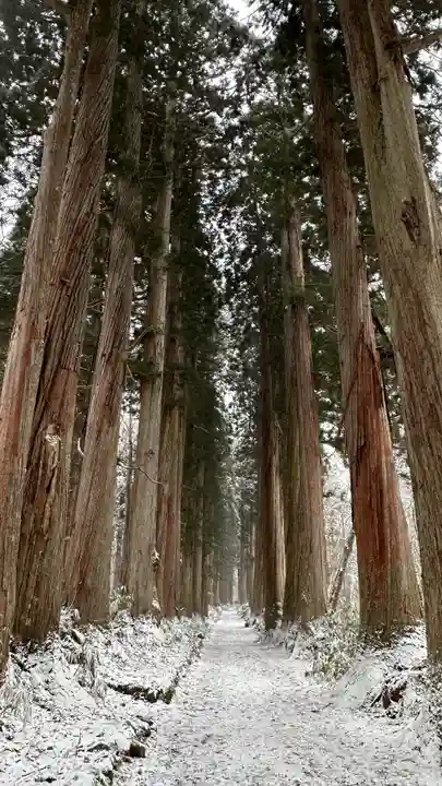 戸隠神社奥社(長野県)