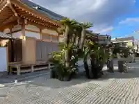 大蔵院(兵庫県)