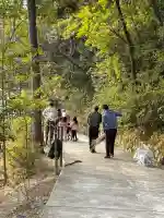 廣田神社の{uncategorized: "未分類", other: "その他", undefined: "問題あり", building: "その他建物", grave: "お墓", sacred_gate: "鳥居", guardian: "狛犬", statue: "像", buddha: "仏像", history: "歴史", nature: "自然", garden: "庭園", animal: "動物", pagoda: "塔", temizu: "手水舎", mountain_gate: "山門・神門", sanctuary: "本殿・本堂", subordinate: "末社・摂社", art: "芸術", scenery: "景色", jizo: "地蔵", ema: "絵馬", goshuin: "御朱印", omikuji: "おみくじ", items: "授与品その他", amulet: "お守り", goshuincho: "御朱印帳", eats: "食事", festival: "お祭り", votive_dance: "神楽", shichigosan: "七五三参", wedding: "結婚式", experience: "体験その他", initially: "初詣", around: "周辺", anti_infection: "感染症対策"}