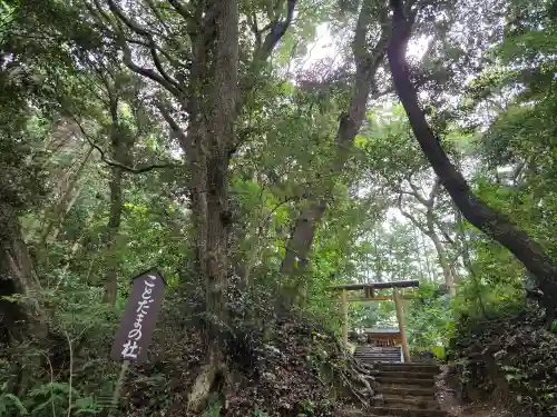 事任八幡宮(静岡県)