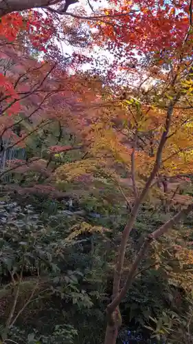 圓光寺(京都府)