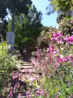 瑞源寺(福井県)