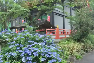 高幡不動尊　金剛寺(東京都)