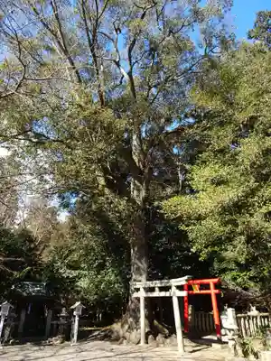 小津神社(滋賀県)