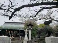 新宿下落合氷川神社の建物その他