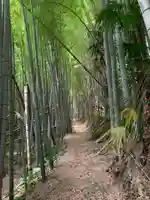 浅間神社(千葉県)