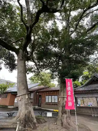 大宮・大原神社(千葉県)