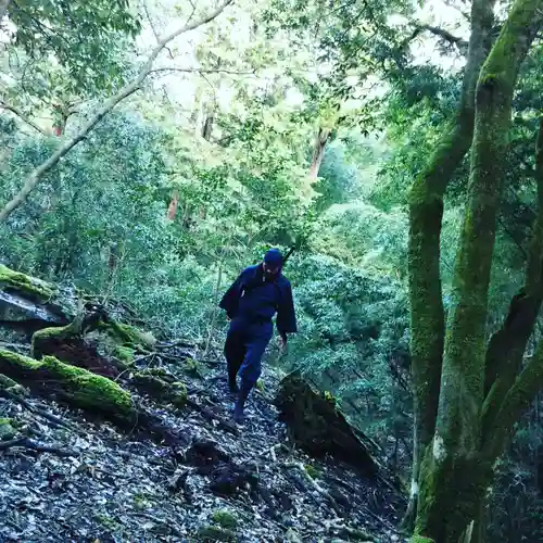 深山 飯盛寺の体験その他