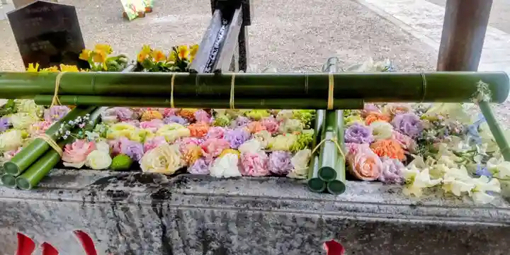 草加神社(埼玉県)