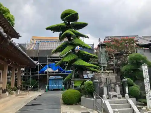 東樹院(神奈川県)