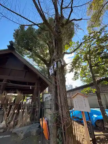 那古野神社(愛知県)