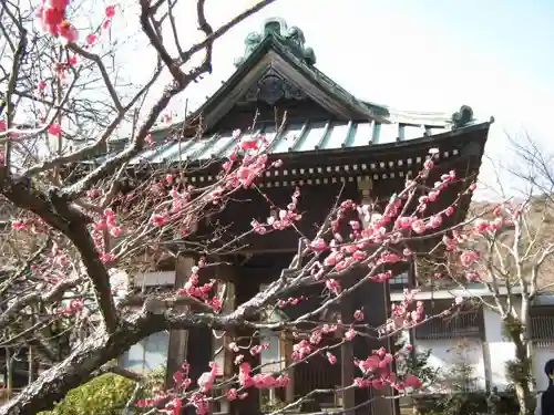 海蔵寺の建物その他