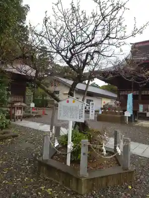 矢奈比賣神社（見付天神）(静岡県)